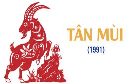 Màu Xe Hợp Tuổi 1991 Tân Mùi Giúp Đem Lại Tài Lộc, May Mắn